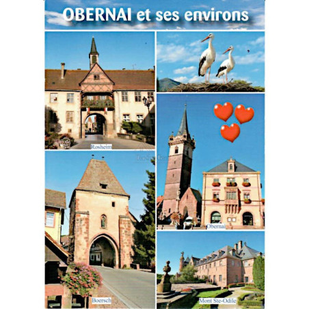 Carte Postale Obernai et ses environs