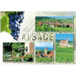 Alsace Wine Route Postcard