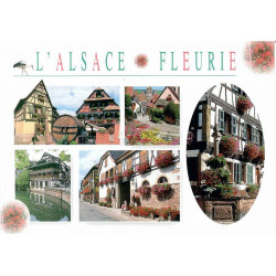 Carte postale l'Alsace pittoresque Fleurie