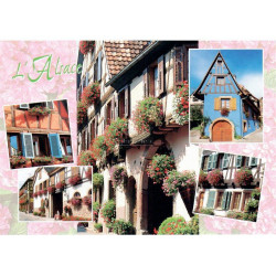 Alsatian Flower Houses Postcard