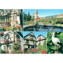 Carte Postale Villages en Alsace Fleuris