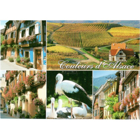 Colors of Alsace Postcard